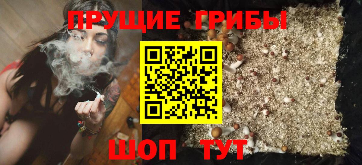 Галлюциногенные грибы Psilocybe  Вход с VPN  Шелехов 